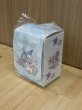 画像2: デッキケース AURORAグレイシア 韓国 (2)