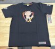 画像1: Tシャツ ガオガエン REGIONAL STORE 2026 (1)