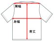 画像3: Tシャツ ガオガエン REGIONAL STORE 2026 (3)