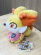 画像2: ぬいぐるみ フォッコ WCS STORE 2025 (2)